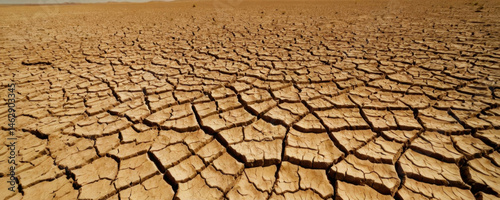 A dry, cracked desert with a blue sky in the background