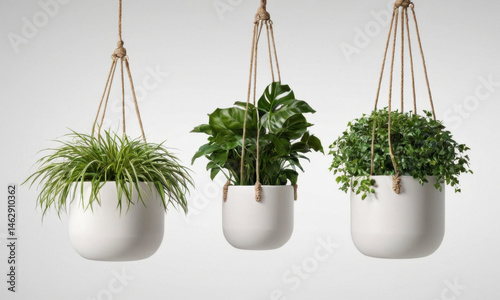Obraz na płótnie Three hanging planters filled with greenery and flowers w salonie