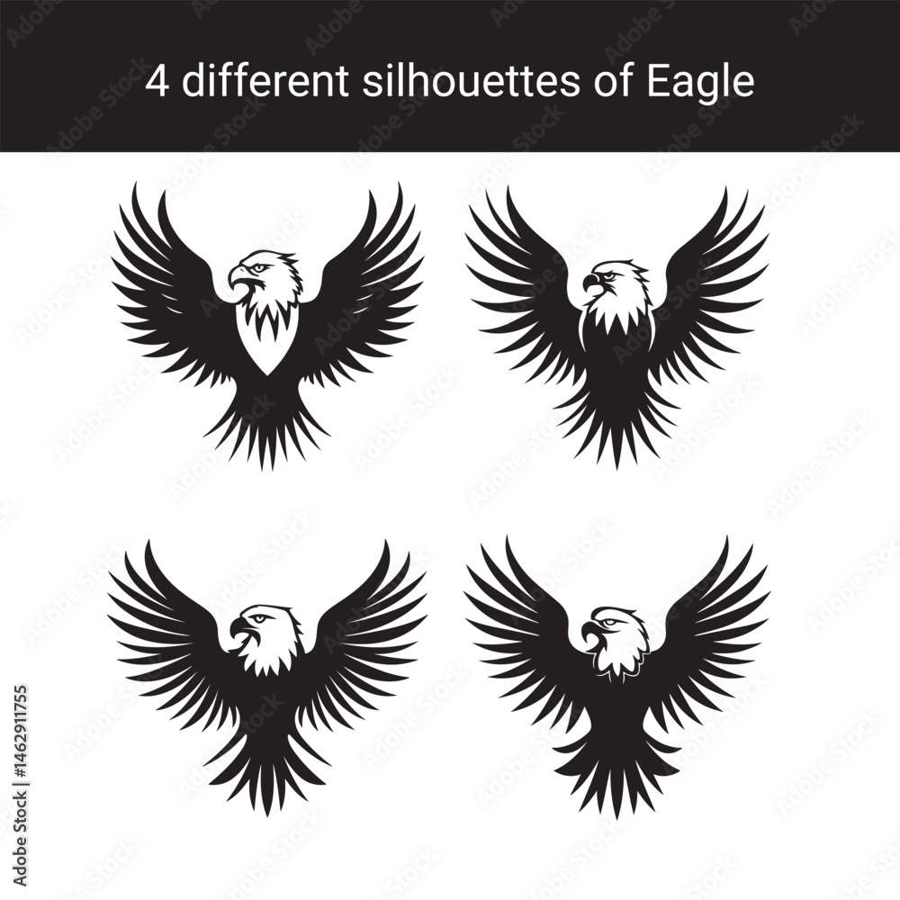 Obraz premium Set of Eagle Silhouettes Vector Illustrations of Eagles with Spread Wings