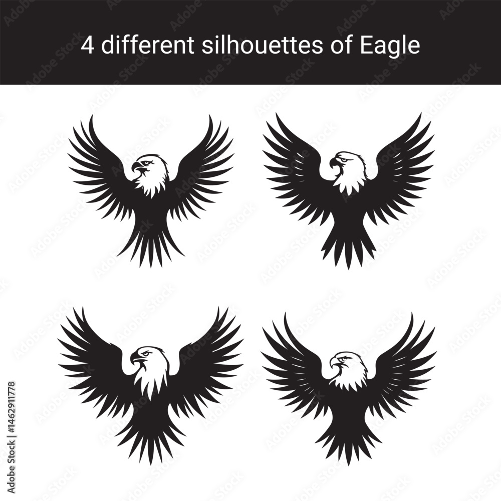 Fototapeta premium Set of Eagle Silhouettes Vector Illustrations of Eagles with Spread Wings
