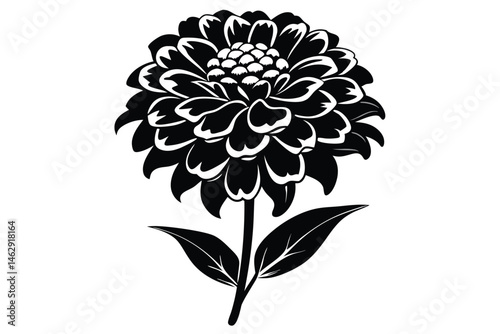 Black and white dahlia flower blooms gracefully with its detailed petals and leaves