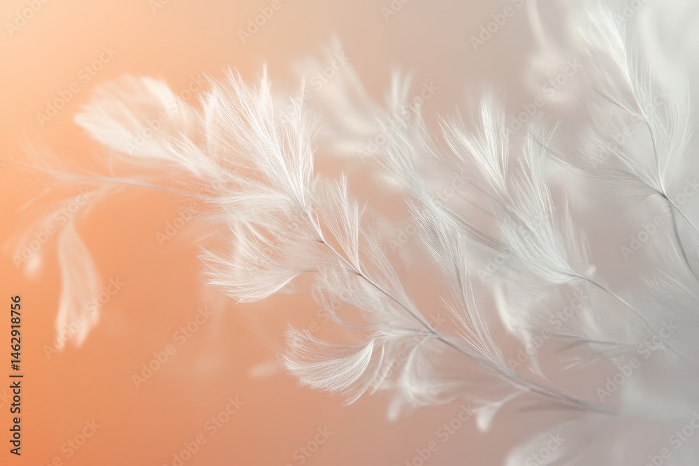 Fototapeta premium Delicate white feathers in soft, muted colors.