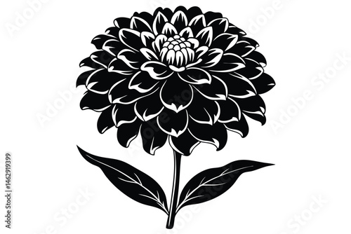 Elegant black and white dahlia flower stands tall with detailed leaves and stem