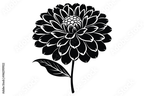 Black and white dahlia flower shows intricate petal arrangement with delicate leaf detail