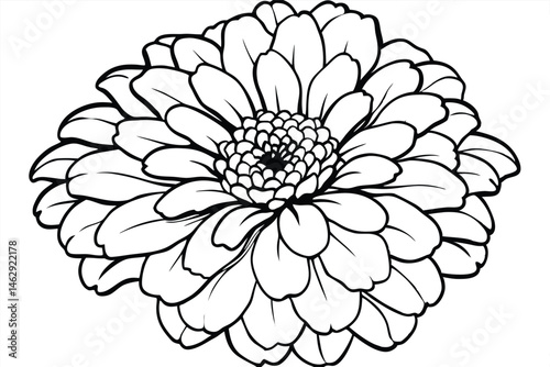 Black and white flower with detailed line work showing intricate floral patterns clearly