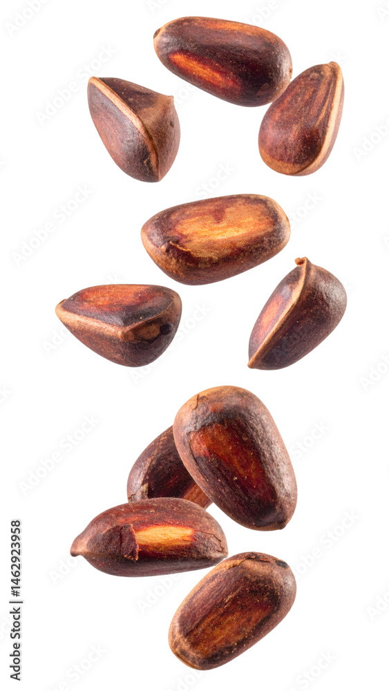 custom made wallpaper toronto digitalPine nuts with realistic texture and natural lighting falling on a transparent background