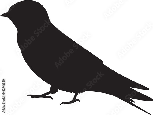 Barn Swallow Silhouette Vector Illustration