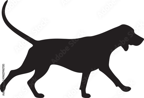 Foto English Foxhound Silhouette Vector Illustration