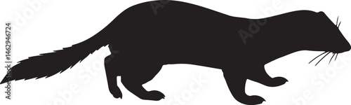 Photos Ermine Silhouette Vector Illustration