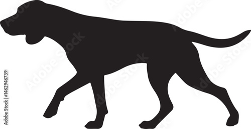 Finnish Hound Silhouette Vector Illustration