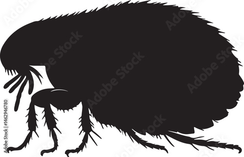Flea Silhouette Vector Illustration