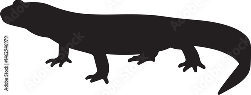 Giant Salamander vector silhouette on white background