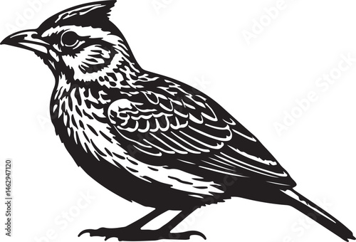 Indian Bush Lark bird vector silhouette on white background