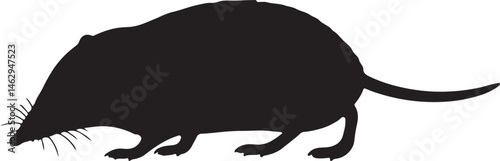 Photos Japanese Water Shrew vector silhouette on white background