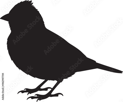 Lark Bunting bird vector silhouette on white background