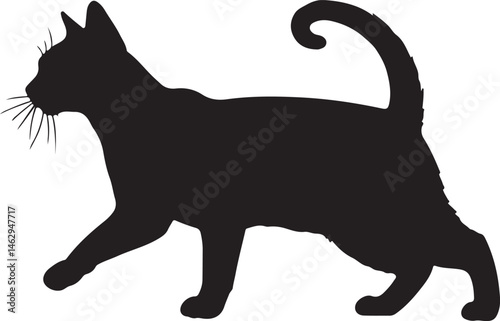 Obraz na plátně Laperm cat vector silhouette on white background
