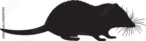 Nimba Otter Shrew vector silhouette on white background