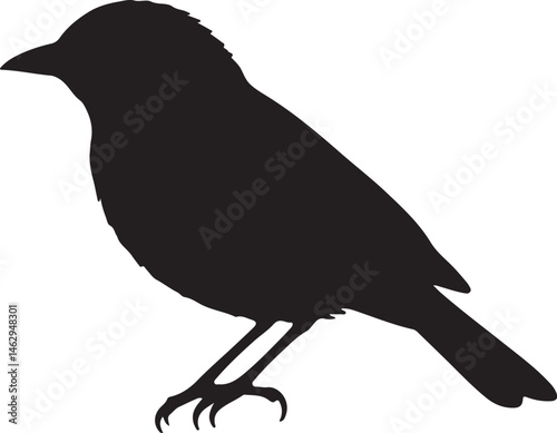 Palm Warbler bird vector silhouette on white background