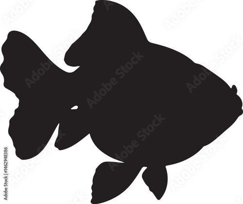 Ranchu Goldfish vector silhouette on white background