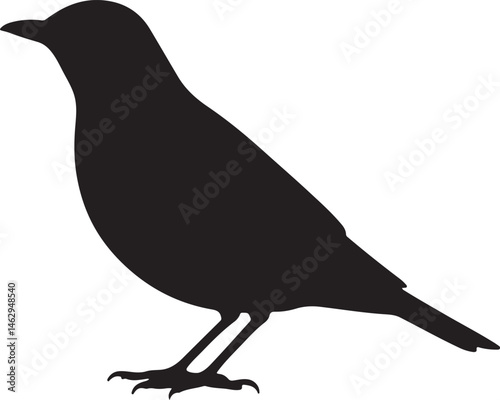 Thrush Bird silhouette standing upright with pointed beak on white background