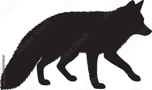 Tibetan Fox silhouette in side view with thick fur and narrow eyes on white background