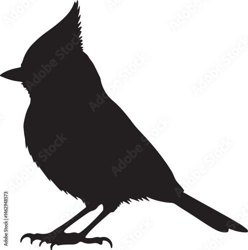 Titmouse Bird silhouette perched in upright pose with short beak on white background
