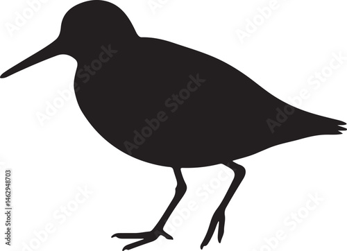 Slim shorebird silhouette standing in profile on white background