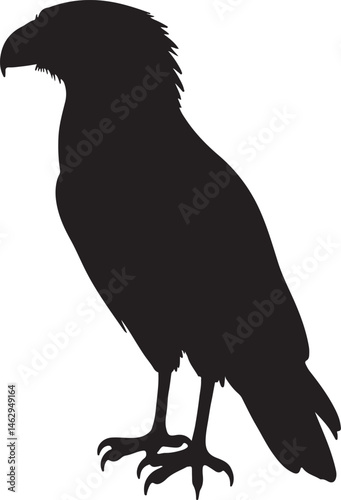 Yellow Headed Caracara Silhouette – Single Icon