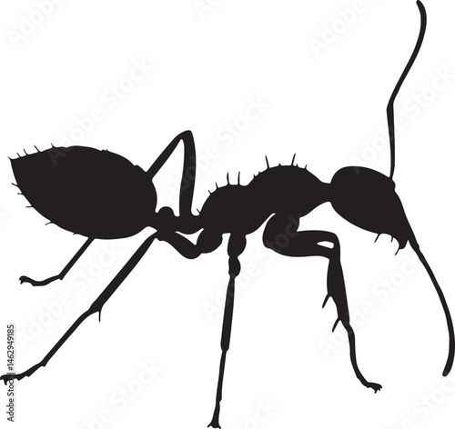 Yellow Crazy Ant Silhouette – Single Icon