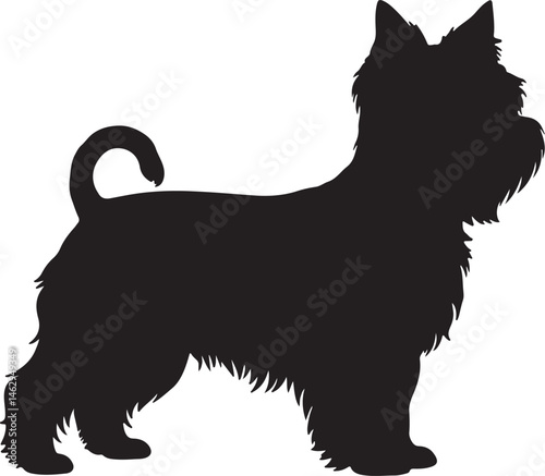 Yorkshire Terrier Silhouette Side View Single Icon