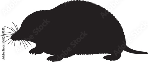 Yeniseian Mole Silhouette Side View Single Icon