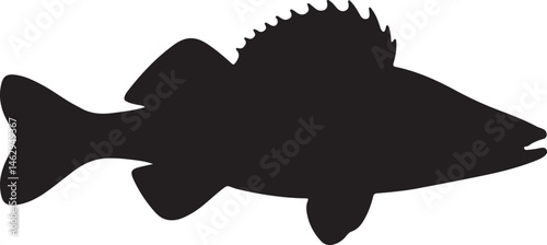 Zander Fish Silhouette Side View Single Icon