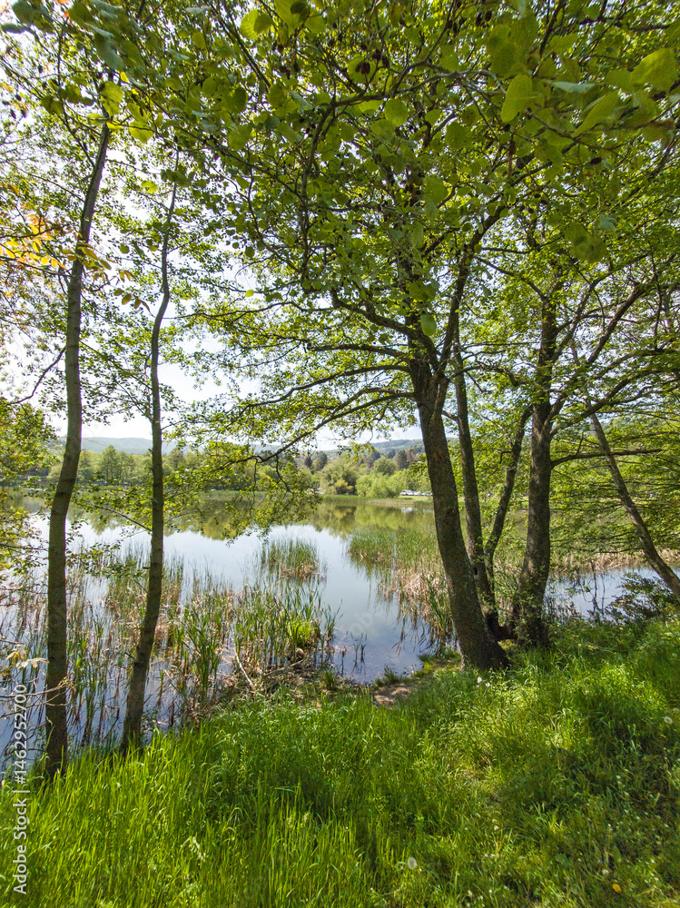 Spring Landscape of Pancharevo lake, Bulgaria