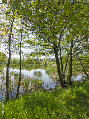 Obraz na płótnie Spring Landscape of Pancharevo lake, Bulgaria w salonie