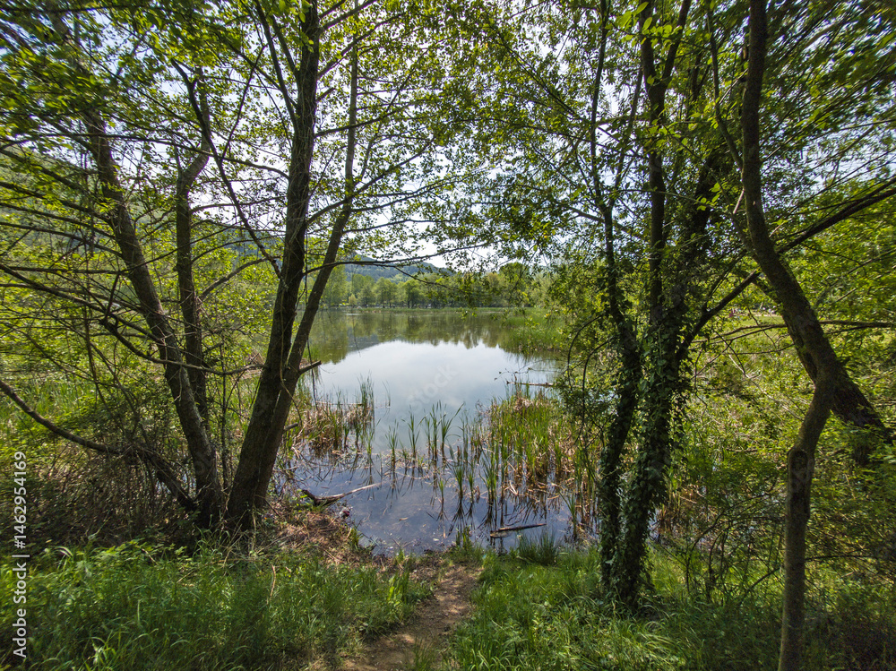 Spring Landscape of Pancharevo lake, Bulgaria