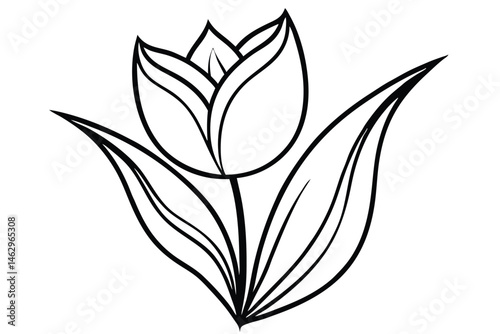Black outlined tulip bud and pointy leaves stand isolated on a white background