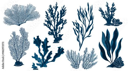 Coral and seaweed set simple silhouette vector isolated on white background  -  