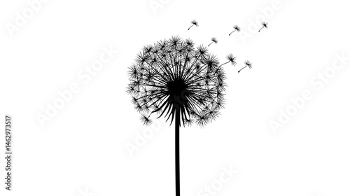 Dandelion logo simple black silhouette vector isolated on white background  -  