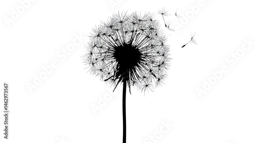 Dandelion logo simple silhouette vector isolated on white background  -  
