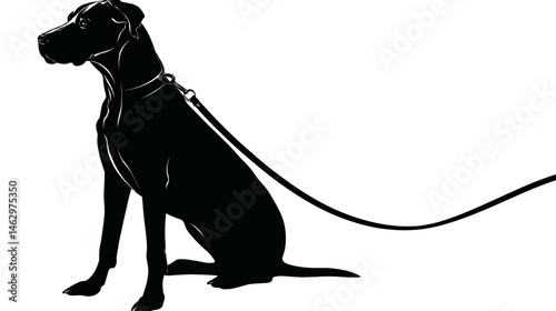 Dog with leash silhouette vector isolated on white background  -  