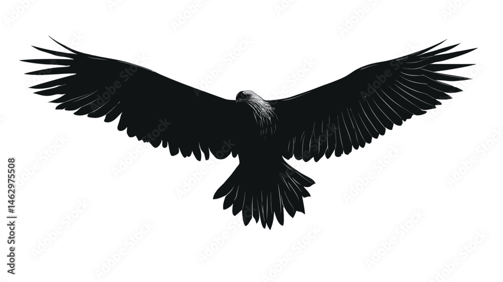 Naklejka premium Eagle with spread wings silhouette vector isolated on white background - 