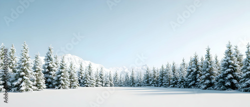 Snowy Forest Landscape Under Clear Sky