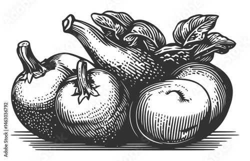 Vintage Vector Illustration of Fresh Vegetables and Fruits Design