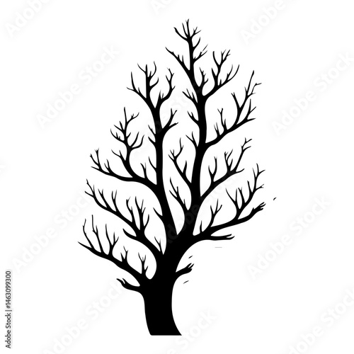 Silhouette of bare tree against white background for minimalist design