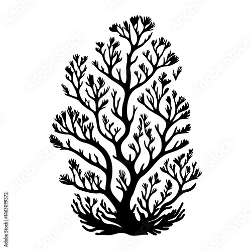 Intricate branching form of a silhouette arboreal structure against white background