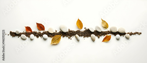 Autumnal Arrangement Of Leaves And Stones On White Background