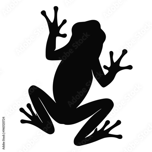 frog Silhouette