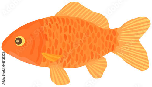 和金のイラスト 金魚 ベクター素材