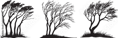 Silhouette of Trees Blowing in the Wind on Hillside Nature Storm and Weather Concept