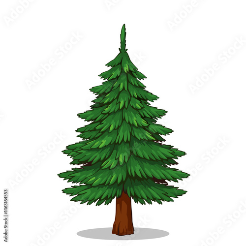 A detailed illustration of a tall green evergreen tree.